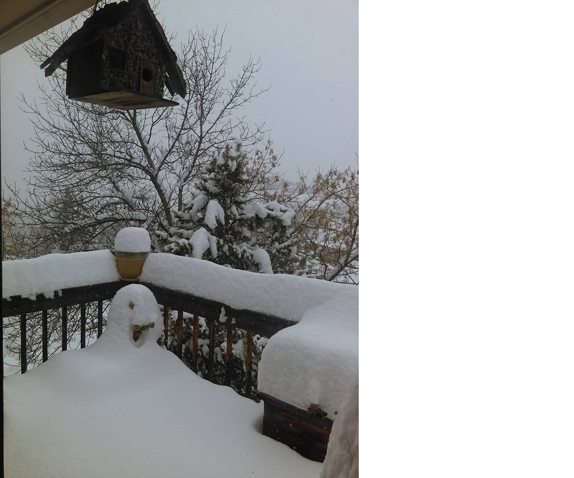 snow.jpg