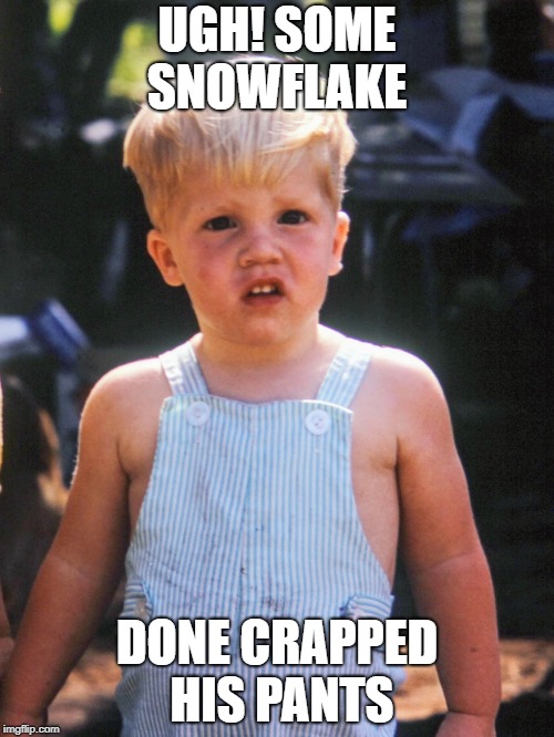 snowflake crapped.jpg