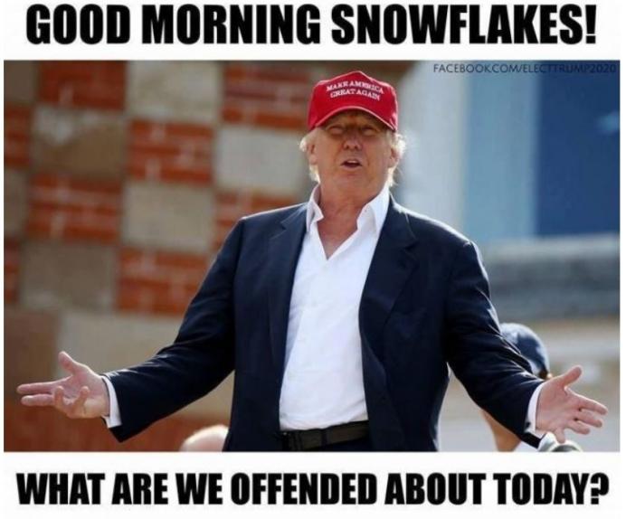 snowflakes morning.jpg