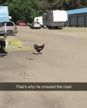 so_dirty_30.gif