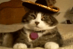 sombrero.gif