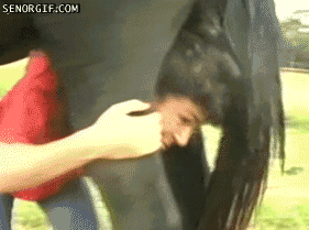 sometimes-26.gif