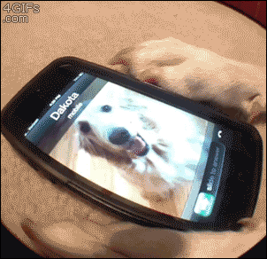source-17.gif
