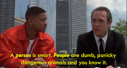 source (2).gif