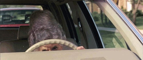 source (4).gif