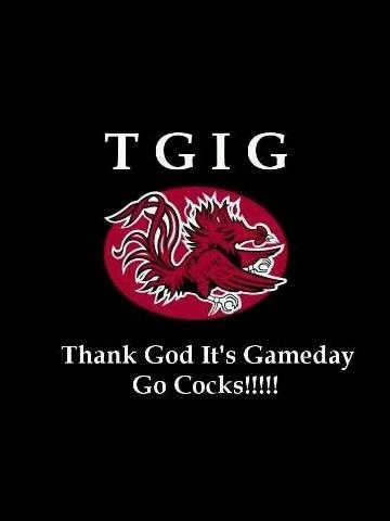 south-carolina-gamecocks.jpg