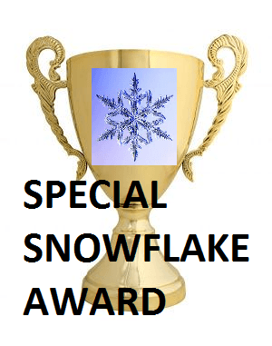 special-snowflake.png