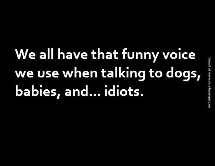 special-voices.jpg