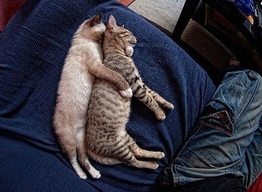 spooning_9072.jpg