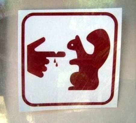 squirrel-bite.jpg