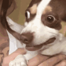 st.gif