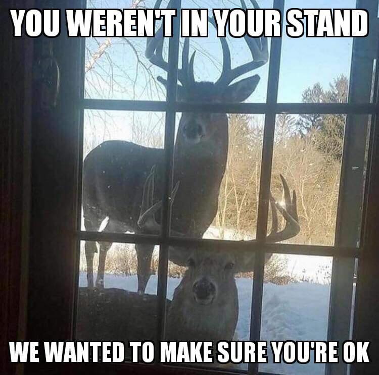 stand.jpg
