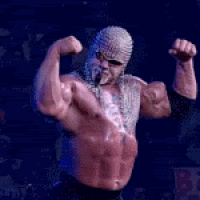 stiener.gif