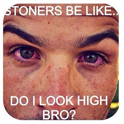 STONER-LOOK-HIGH-BRO-MEME.jpg