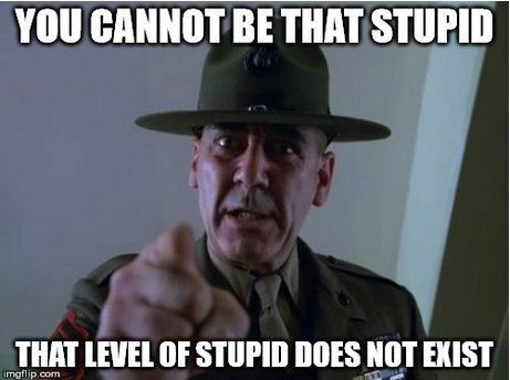 stupid.jpg