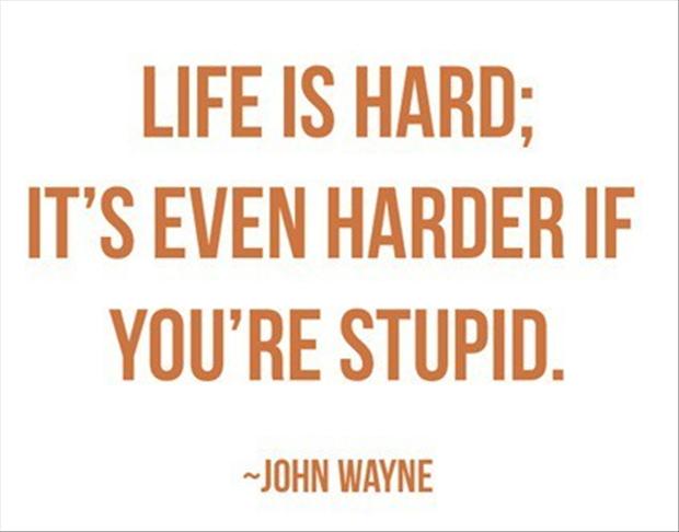 stupid-quotes-1.jpg