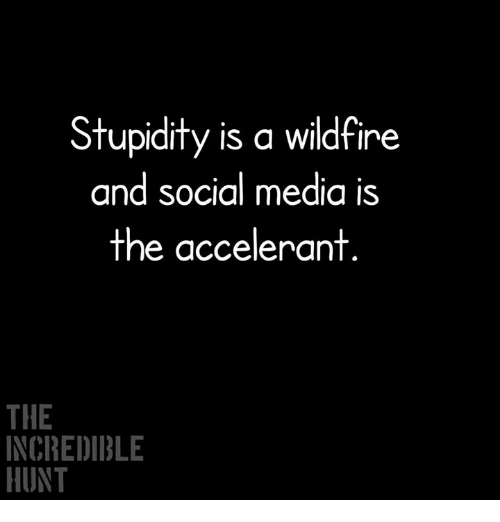 stupidity-is-a-wildfire-and-social-media-is-the-accelerant-30061578.png
