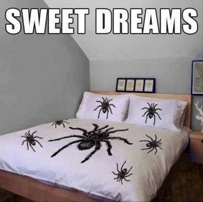 sweat-dreams.jpg
