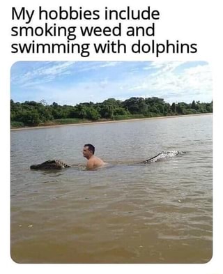 swimming with dolphins.jpg