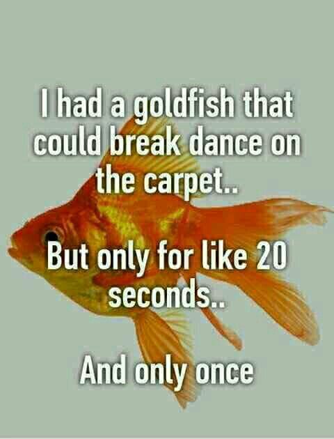 tapatalk_1486851544863.jpeg
