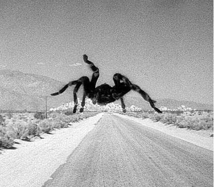 Tarantula_movie.jpg