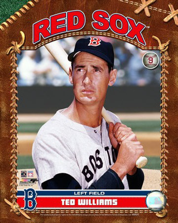 ted-williams2.jpg