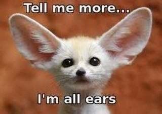 tell me more all ears.jpg