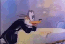 tenor-1.gif