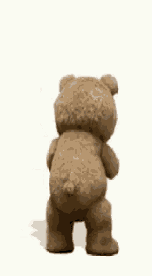 tenor-16.gif