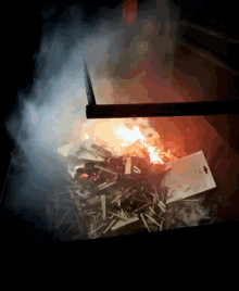 tenor-25.gif