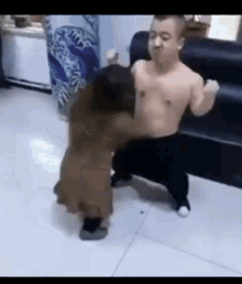 tenor (3).gif