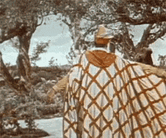tenor (4).gif