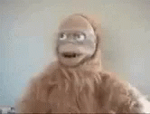 tenor (40).gif