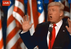 tenor (87).gif