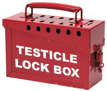 Testicle-Lock-Box (1).jpg