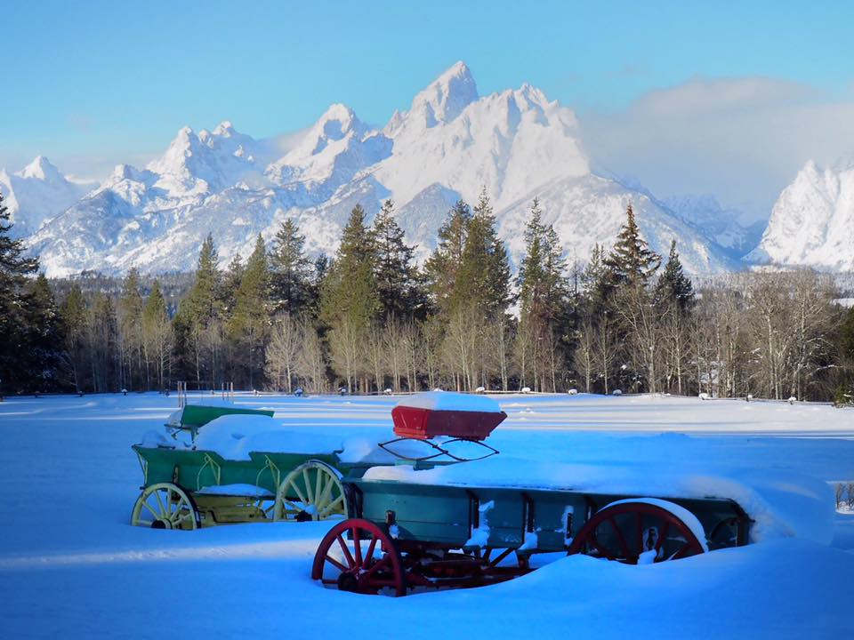 Tetons and wagons in snow.jpg