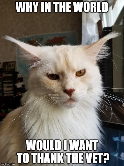 thank the vet.jpg