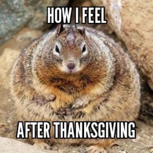thanksgiving-0.jpg