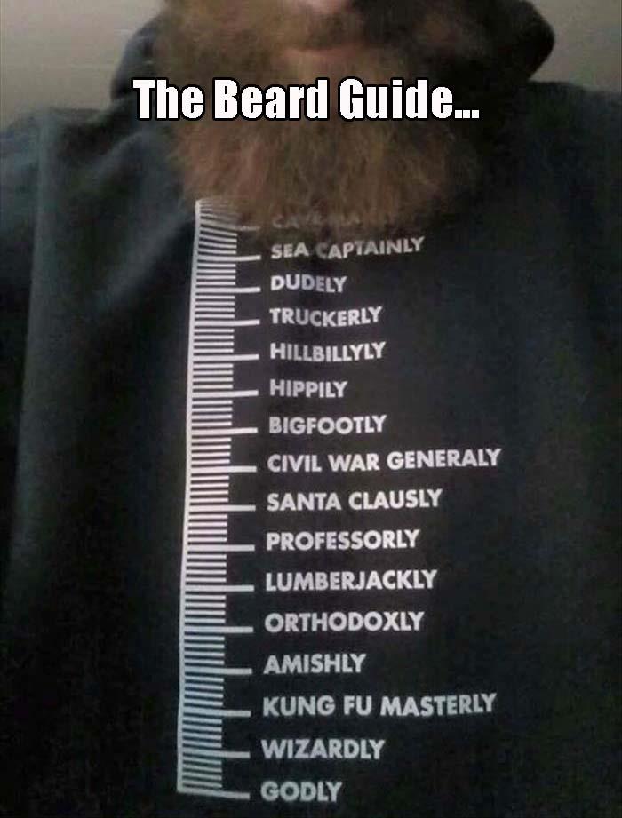 the-beard-guide.jpg