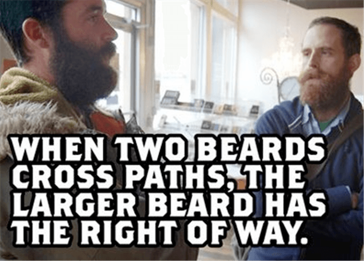 the-best-beards.png