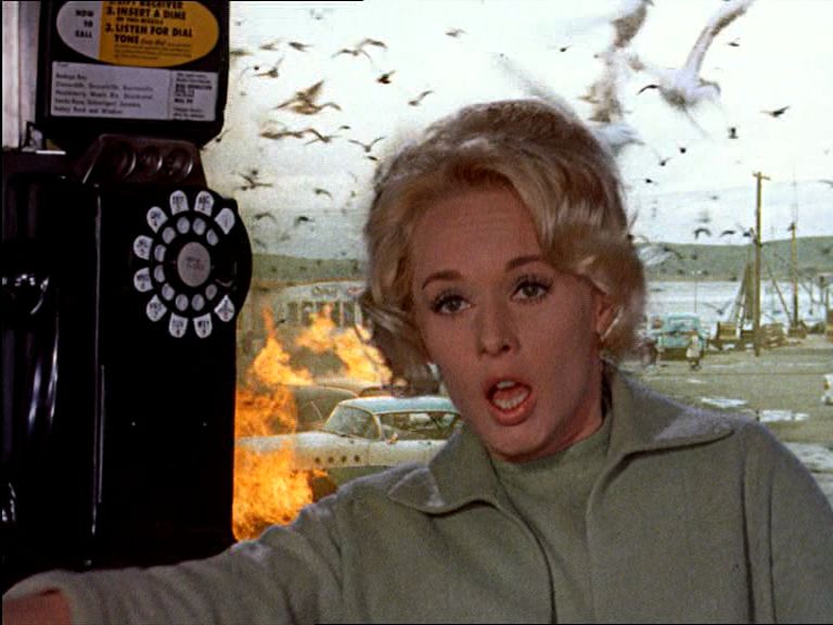 The Birds 17.jpg