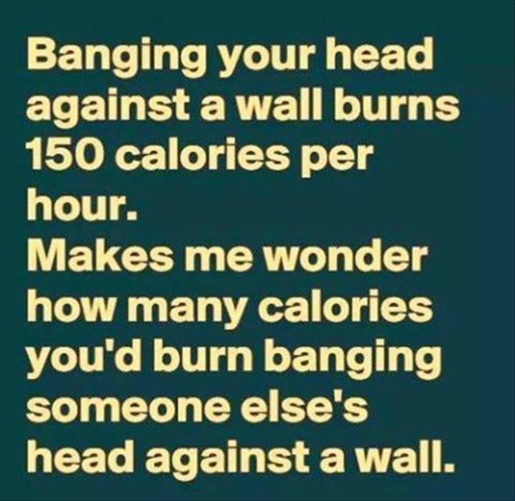 the-funny-pictures-107.jpg