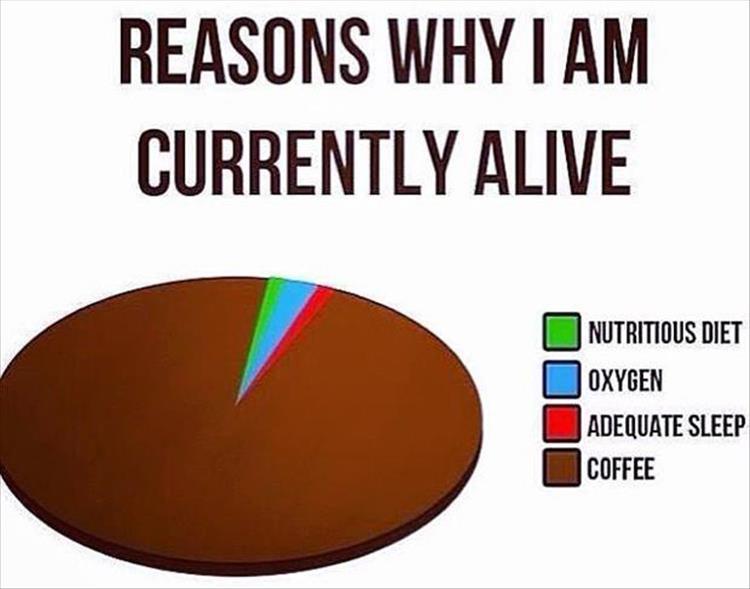 the-funny-pictures-3.jpg