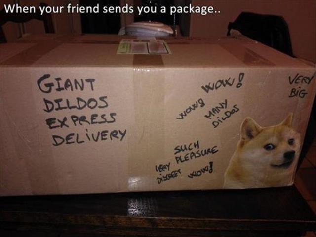 the-funny-pictures-4.jpg