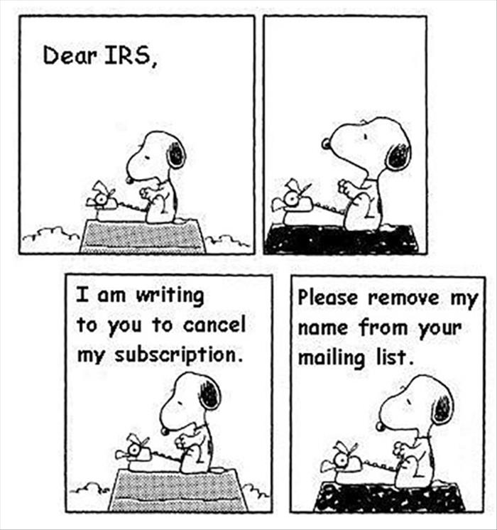 the-irs.jpg