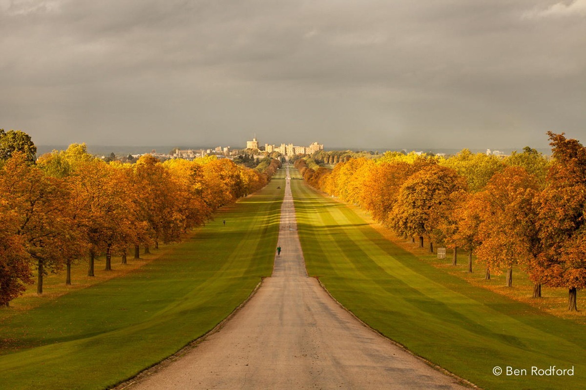 the-long-walk-snow-hill-windsor-park-to-windsor-castle.jpg