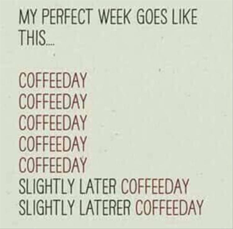 the-perfect-week.jpg