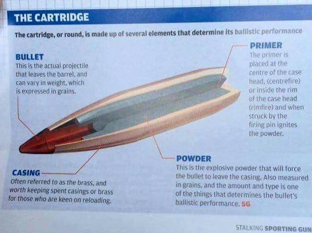 thecartridge.jpg