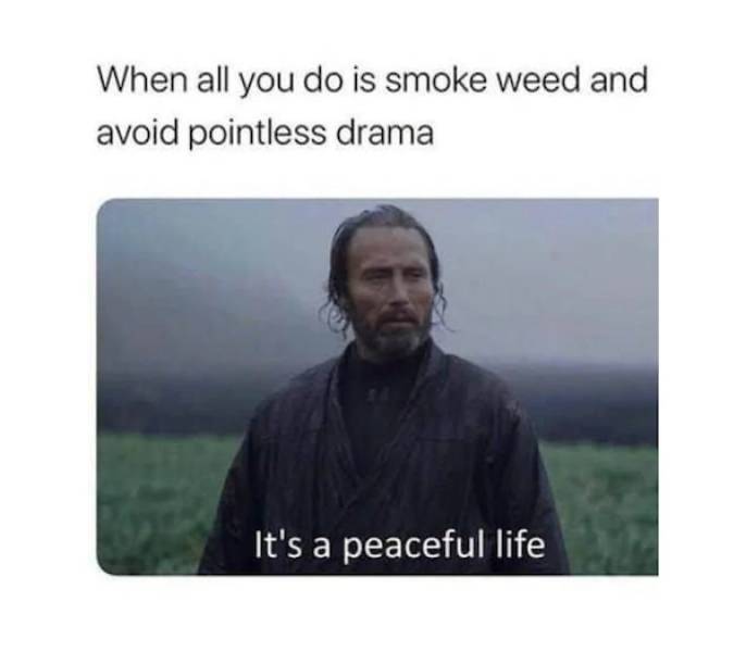 these_47.jpg