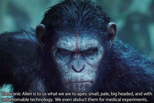 Thoughts-12.jpg